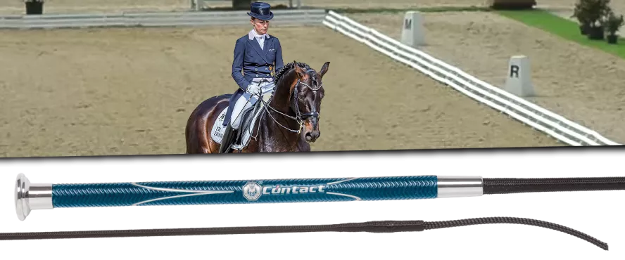 Dressage whips