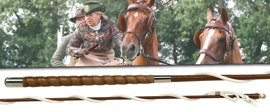 Stockpeitschen
